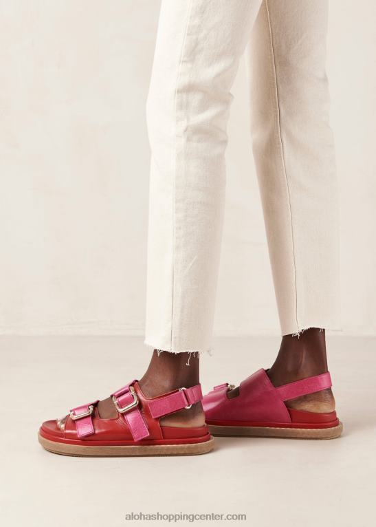 harper - rdeči in roza usnjeni sandali ženske Alohas 0D4R810