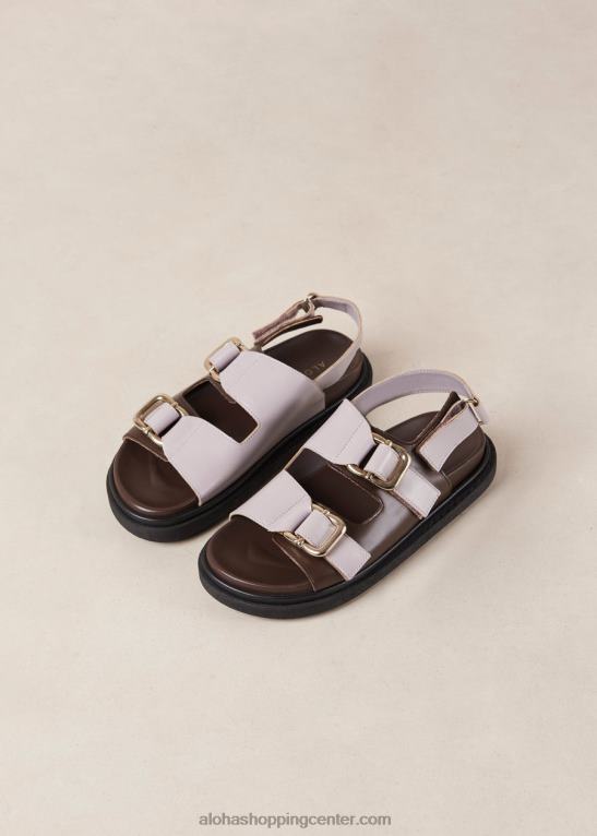 harper - rjavi in ​​vijolični usnjeni sandali ženske Alohas 0D4R815