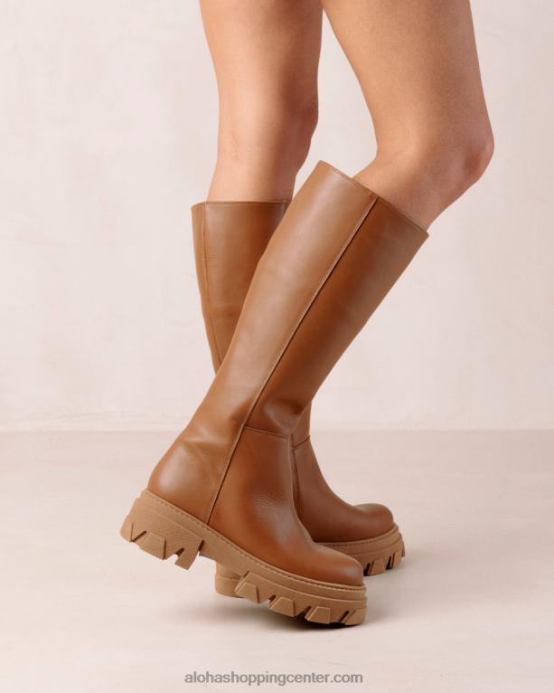 katiuska - rjavi usnjeni škornji ženske Alohas 0D4R895