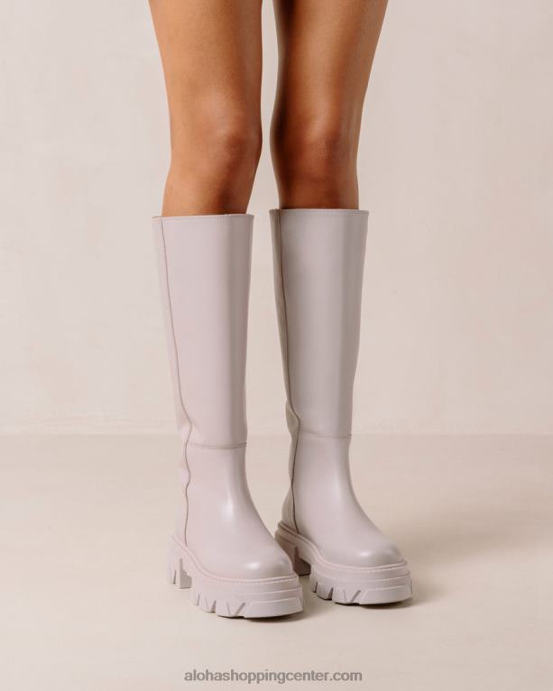 katiuska - vijolični usnjeni škornji ženske Alohas 0D4R8103