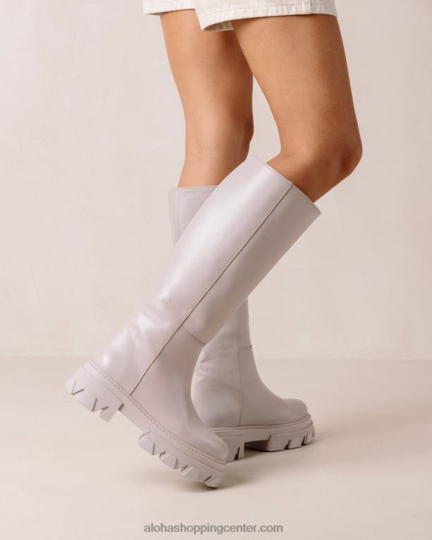 katiuska - vijolični usnjeni škornji ženske Alohas 0D4R8103