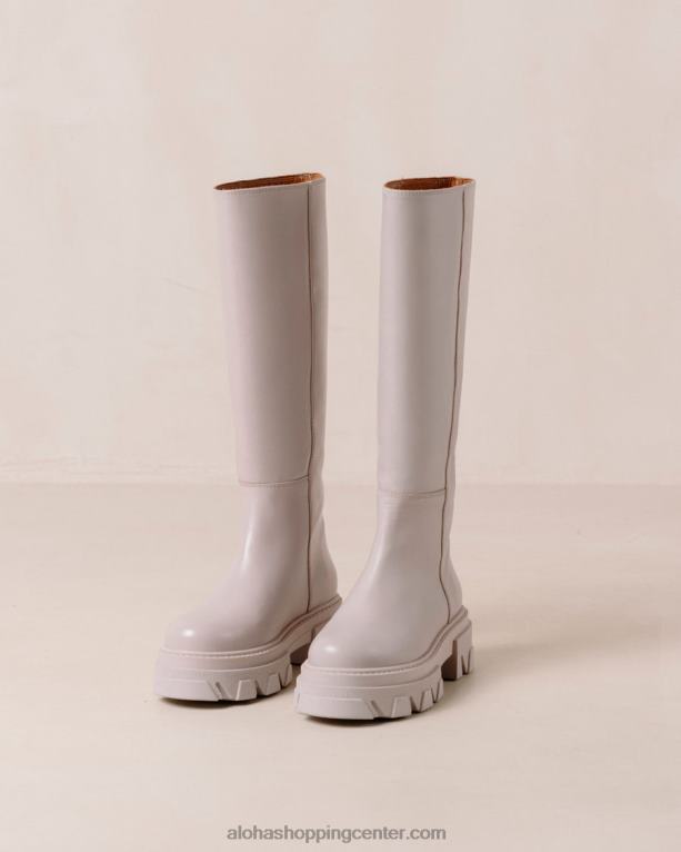 katiuska - vijolični usnjeni škornji ženske Alohas 0D4R8103