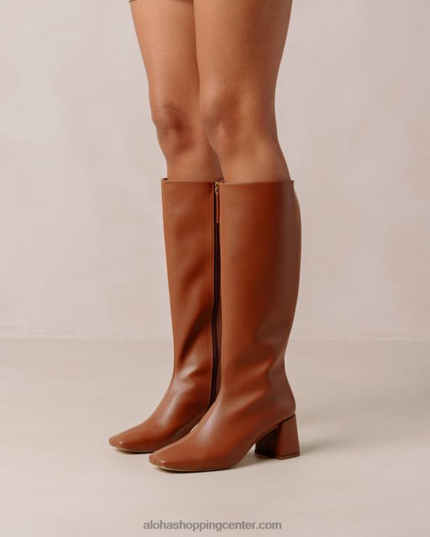 kreda - rjavi veganski usnjeni škornji ženske Alohas 0D4R8108