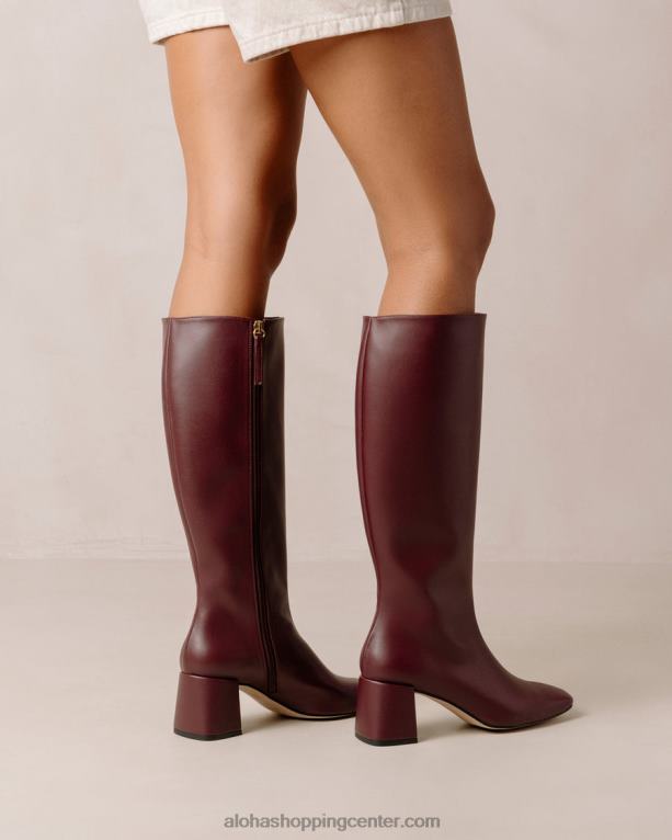 kreda - vijolični veganski usnjeni škornji ženske Alohas 0D4R8107