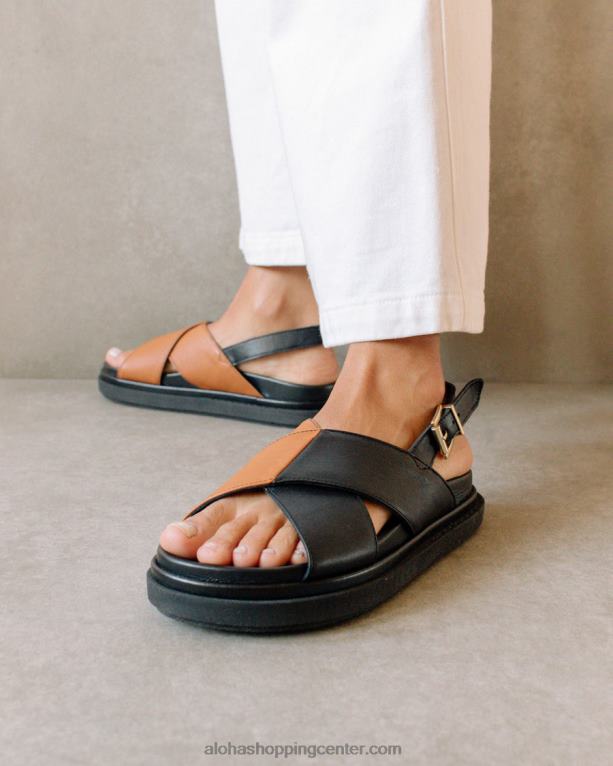 dvobarvna črna porjavelost