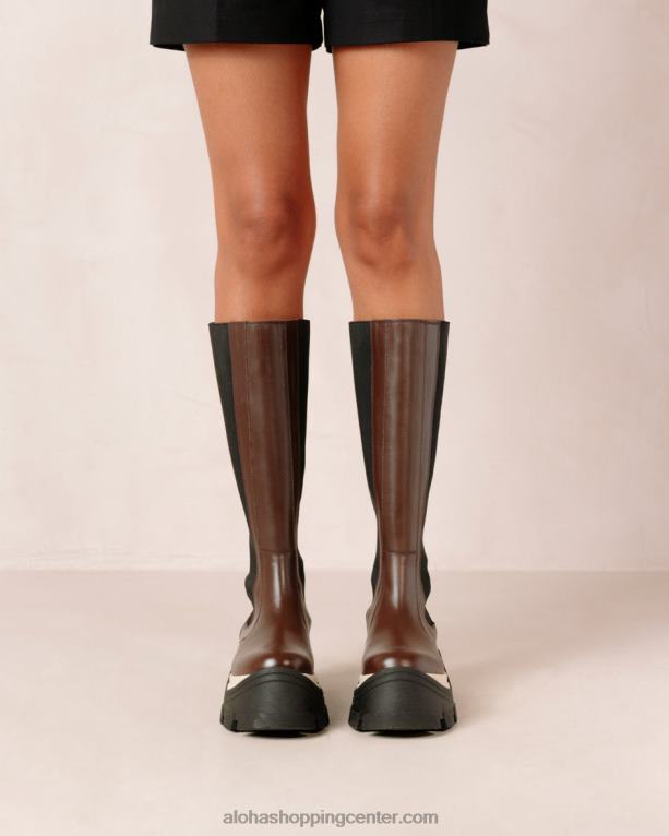 roxie chess - rjavi usnjeni škornji ženske Alohas 0D4R8548