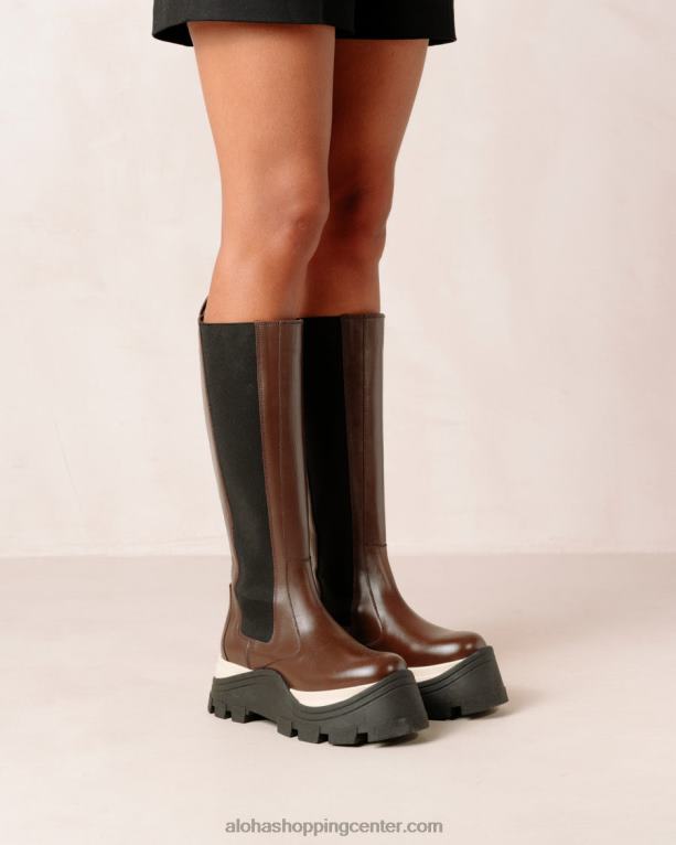 roxie chess - rjavi usnjeni škornji ženske Alohas 0D4R8548