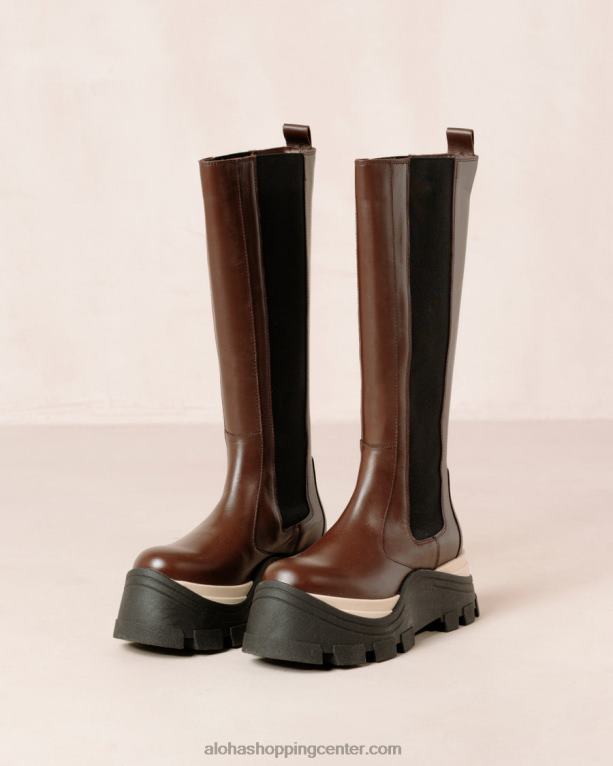 roxie chess - rjavi usnjeni škornji ženske Alohas 0D4R8548