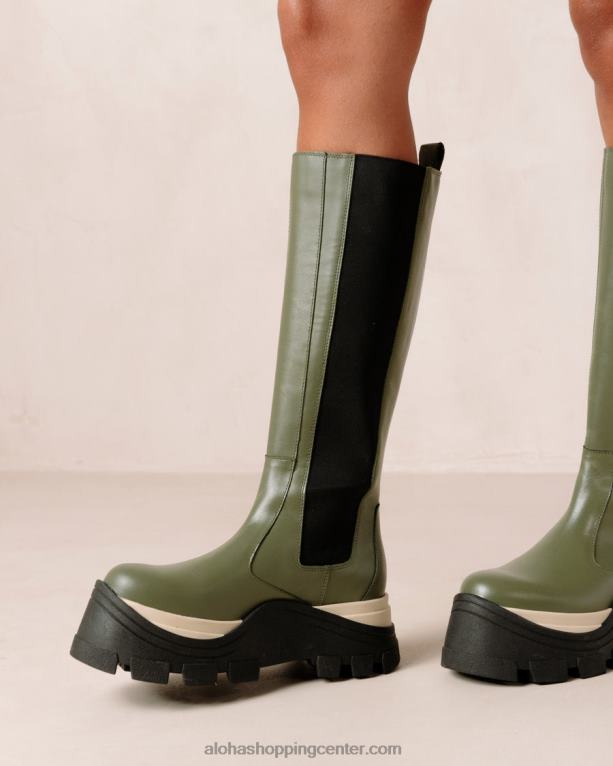 roxie chess - zeleni usnjeni škornji ženske Alohas 0D4R8549