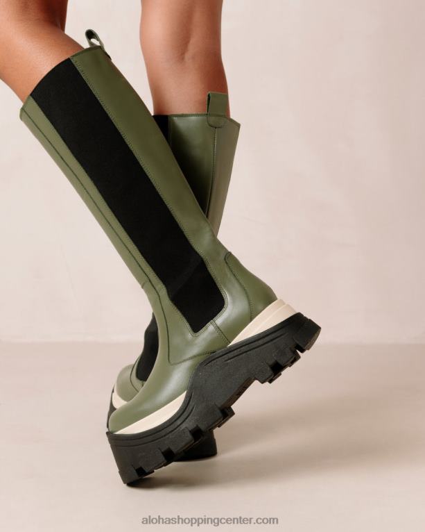 roxie chess - zeleni usnjeni škornji ženske Alohas 0D4R8549