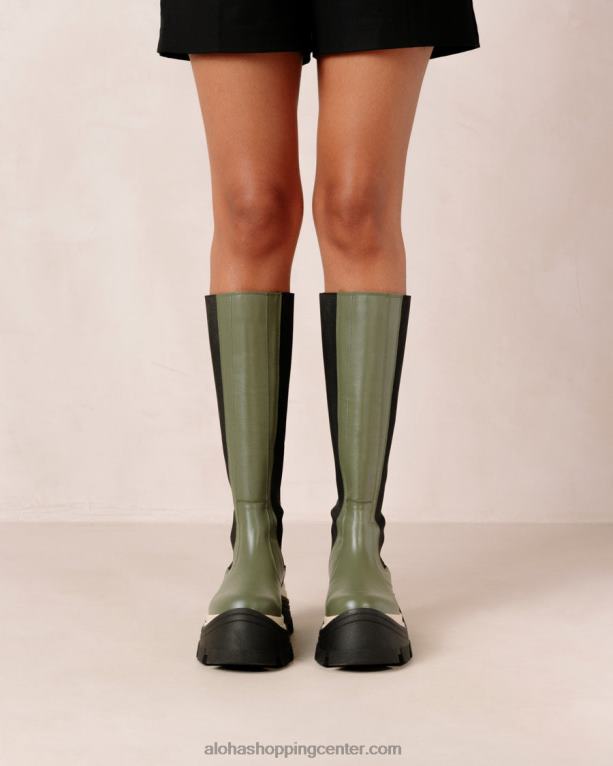 roxie chess - zeleni usnjeni škornji ženske Alohas 0D4R8549