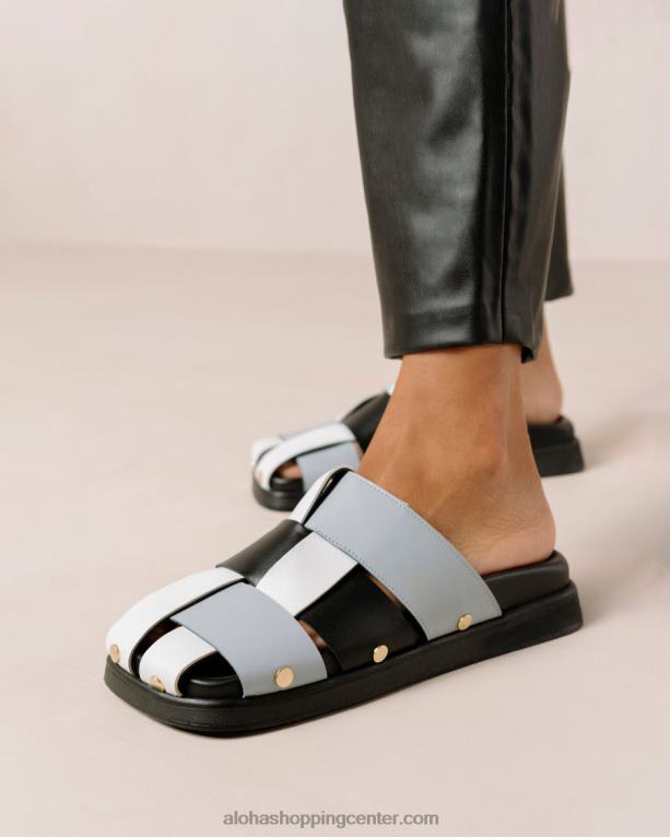 scacchi black baby blue svetlo bela