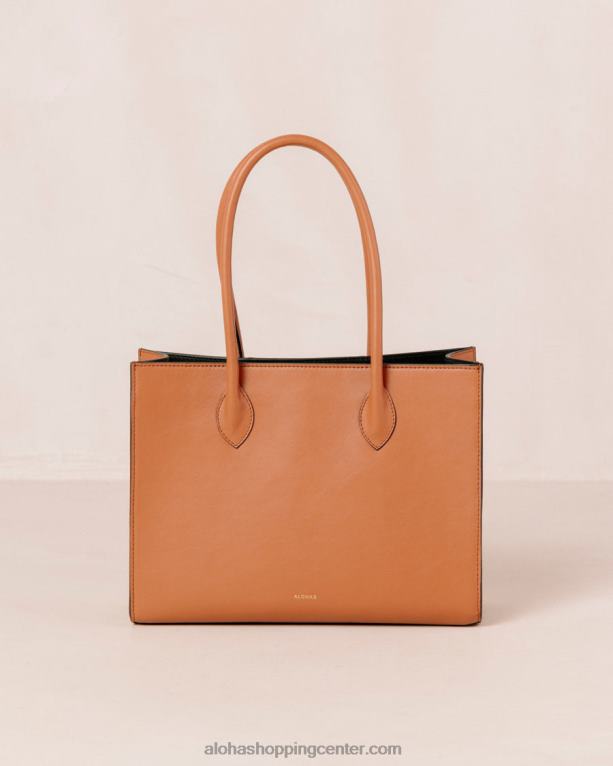 the w scacchi - rjava večbarvna usnjena torbica ženske Alohas 0D4R81049