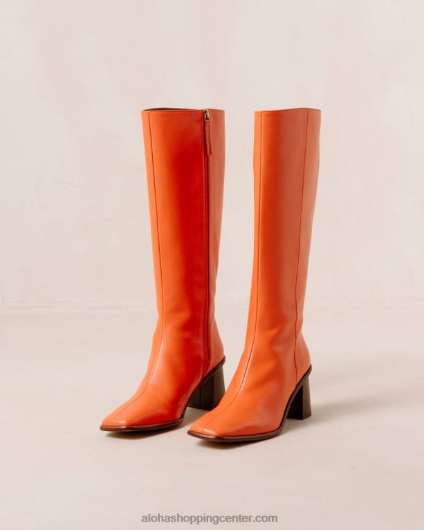 vzhod - svetlo oranžni usnjeni škornji ženske Alohas 0D4R842